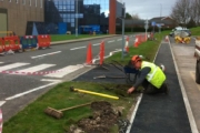 Re-turfing grass verge